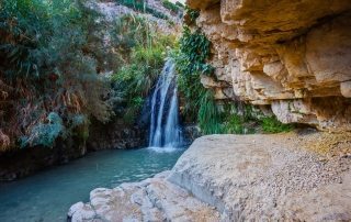 Ein Gedi