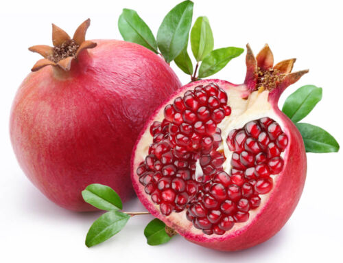 Pomegranates: Fruit of Israel