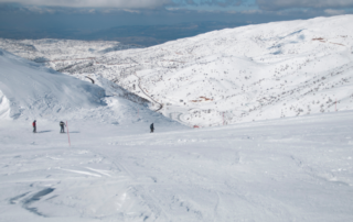 Mount Hermon ski