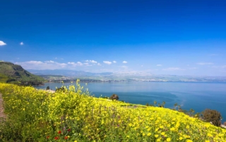 Spring in Israel