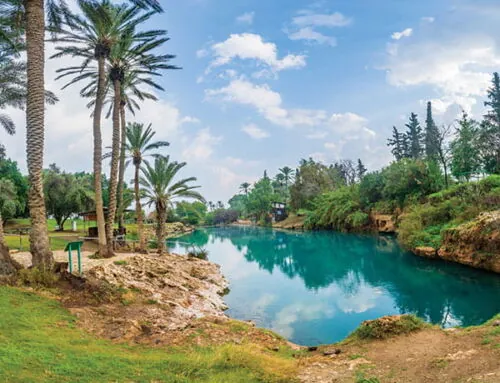 Exploring Israel’s Natural Treasures: 6 National Parks You Should Visit